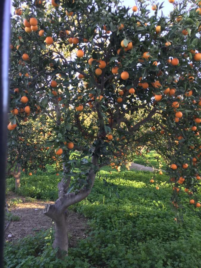 בית הארחה Benahadux 	El Cortijo De La Abuela מראה חיצוני תמונה